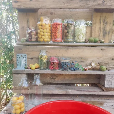 Cudnie Tu - Wdzydze * Wdzydze Kiszewskie