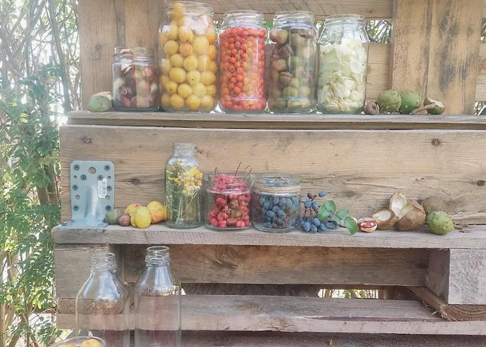 Cudnie Tu - Wdzydze * Wdzydze Kiszewskie